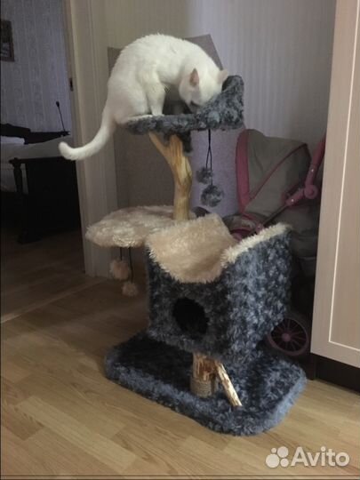 Домик лежанка для кошки