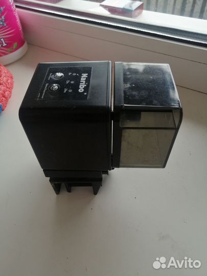 Домашние животные