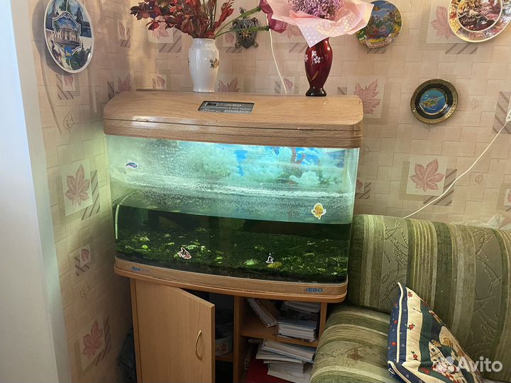 Аквариум