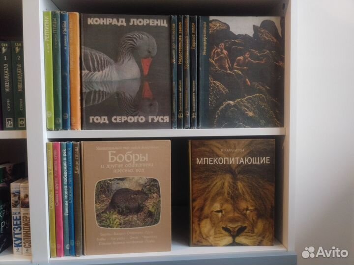 Книги о животых, растениях и древних людях