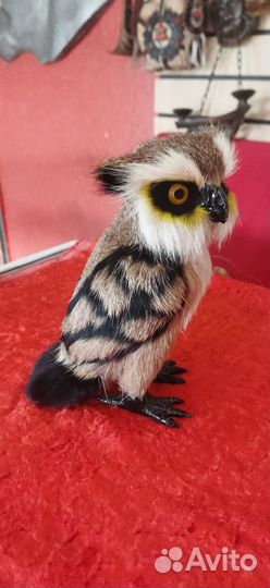 Модель сова