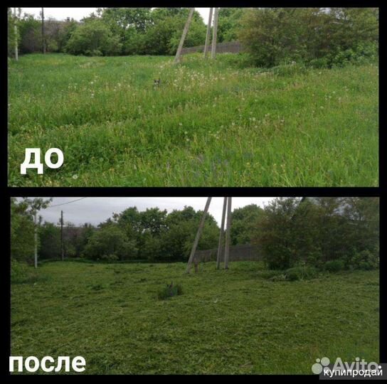 Покос травы