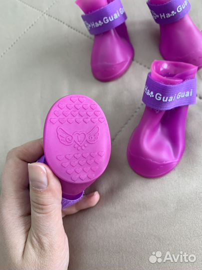 Обувь для собак