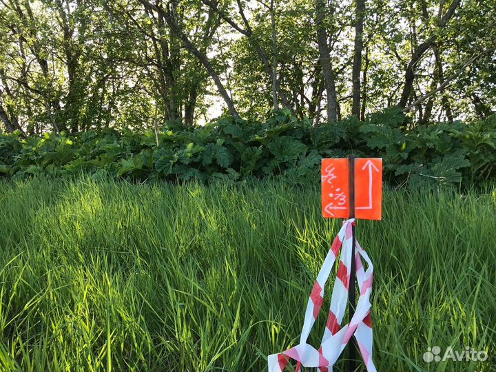 Вынос границ земельного участка