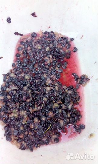 Дробилка ручная для винограда 