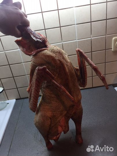 Гусиное мясо