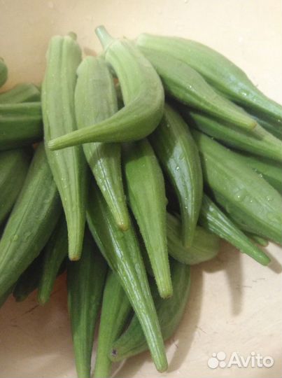 Семена Бамии(Окра)