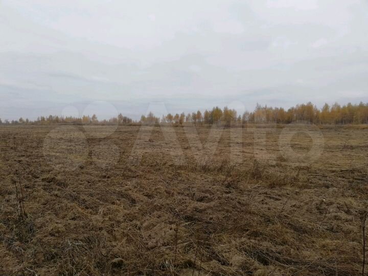 Участок 4,5 га (СНТ, ДНП)