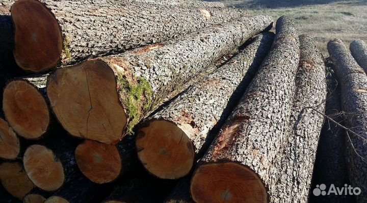 Дрова ольха