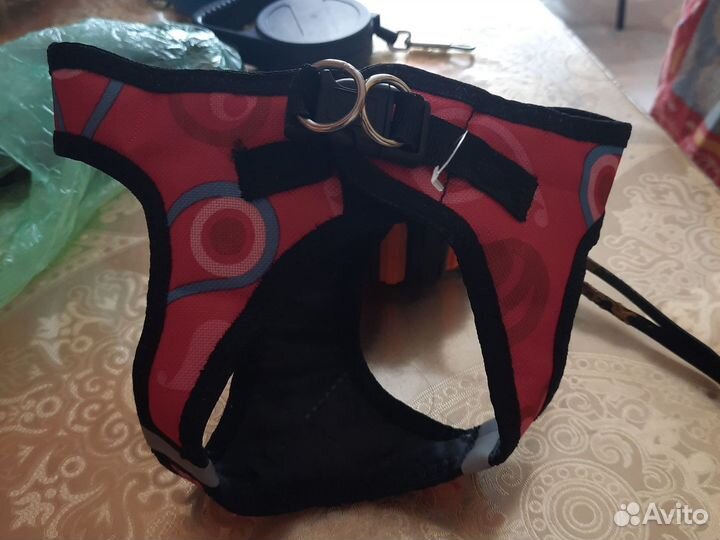 Шлейка для маленькой собаки