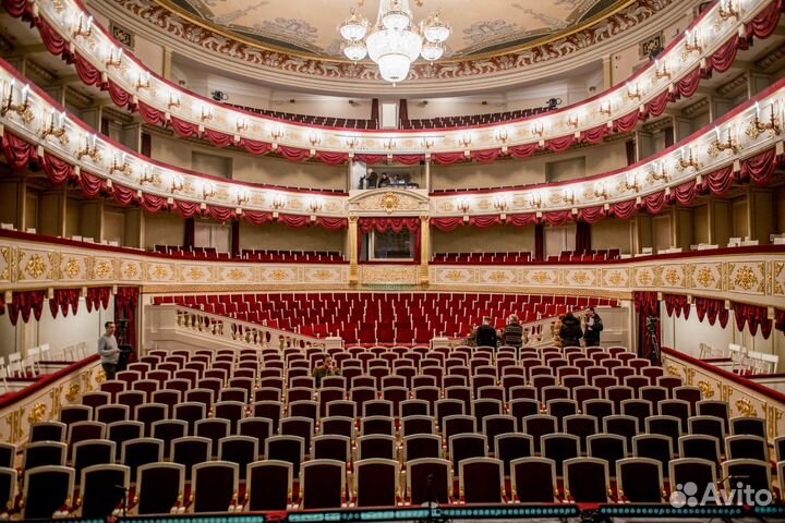 Билеты в Малый театр 1/2
