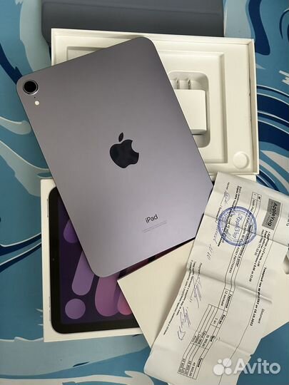 iPad mini 6 purple