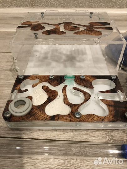 Формикарий муравьиная ферма