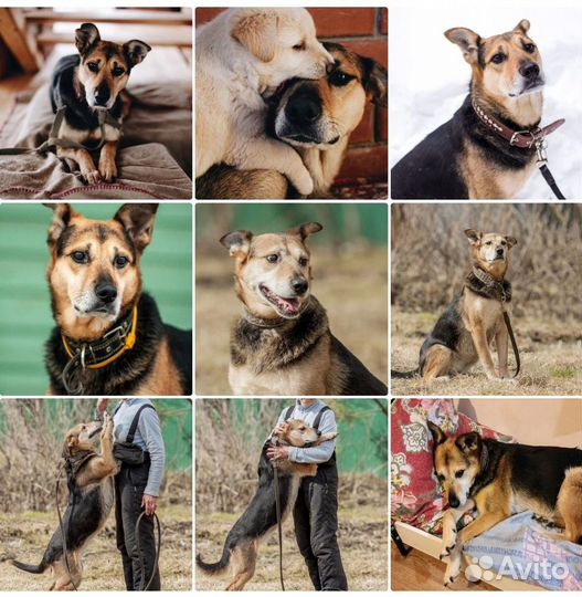 А часики тикают