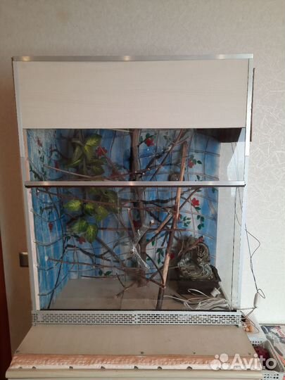 Террариум для хамелеона