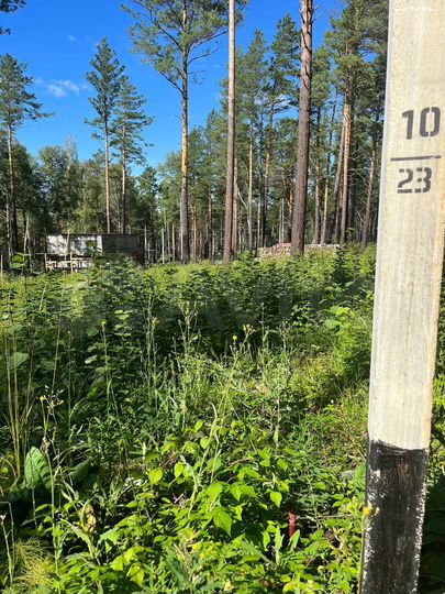 Дом 100 м² на участке 10 сот.