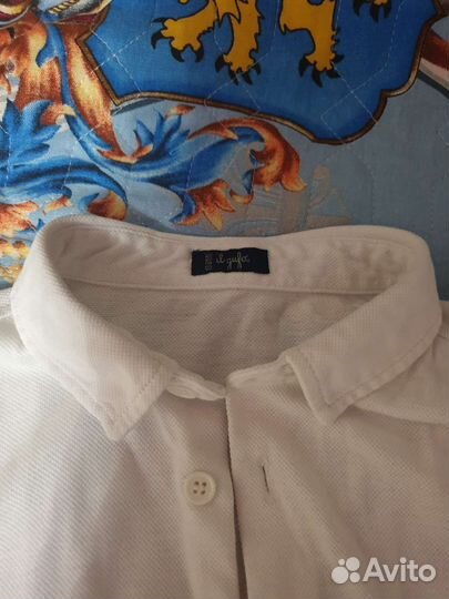 Белая рубашка для мальчика 7-9 лет il gufo