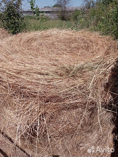 Сено в тюках