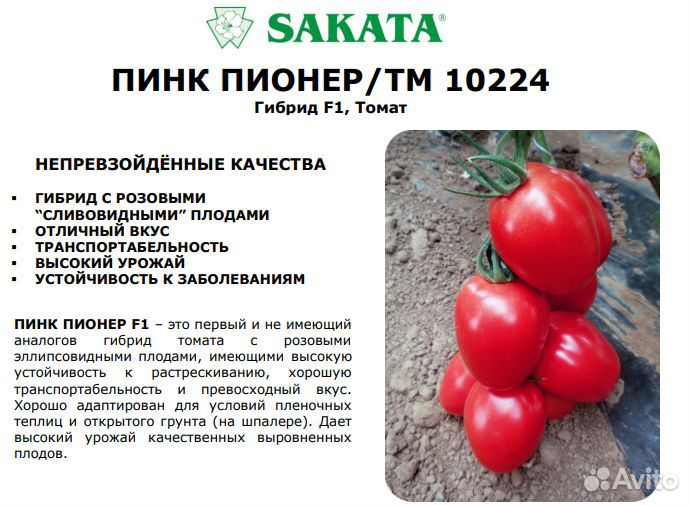 Пинк Парадайз F1 семена томата саката