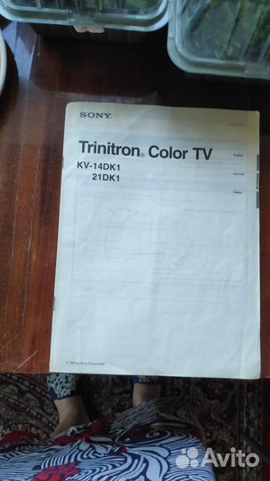 Телевизор