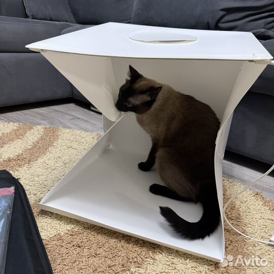 Лайтбокс для предметной съёмки