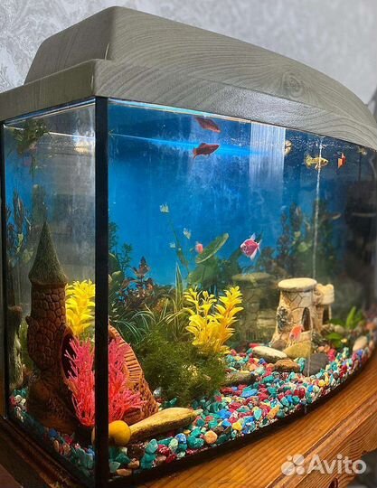 Аквариум с тумбой