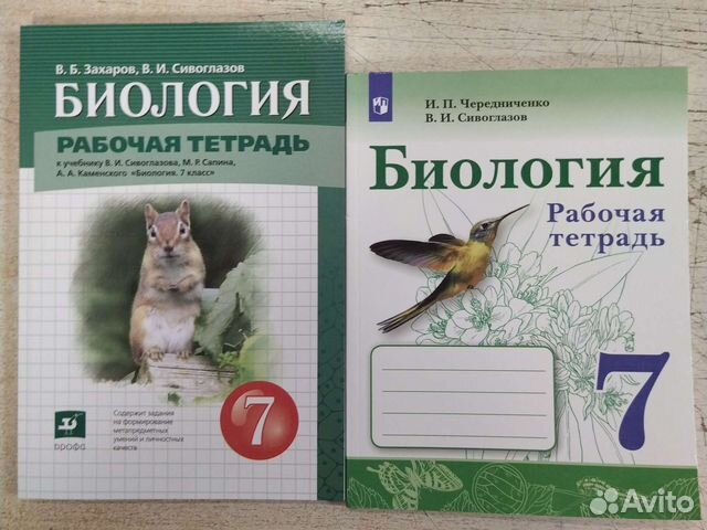 Учебники и рабочие тетради