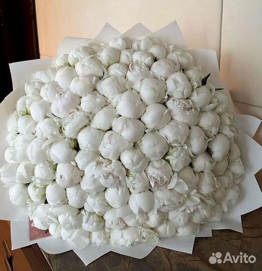 Букет из 101 пиона