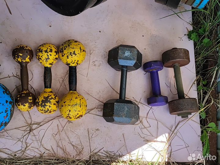 Блины, гантели, грифы