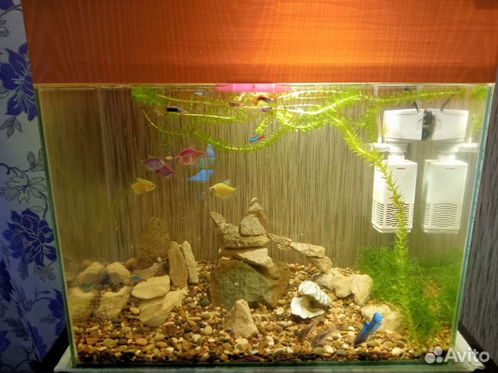Аквариум