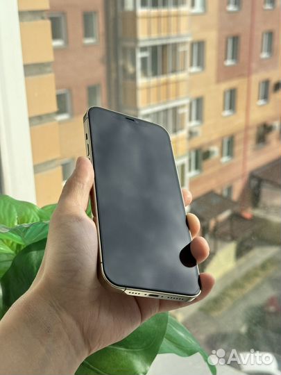 iPhone 12 Pro Max, 128 ГБ