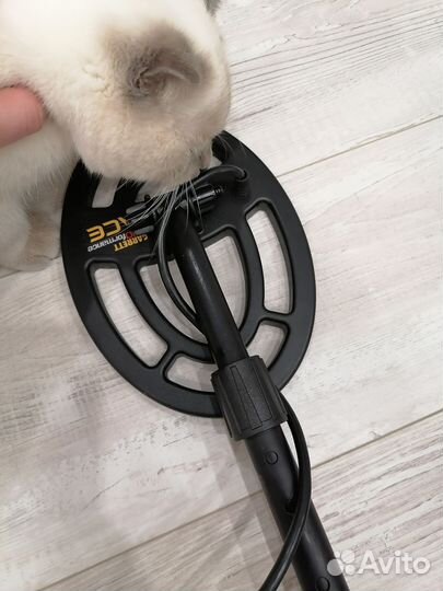 Металлоискатель garrett ace 200i