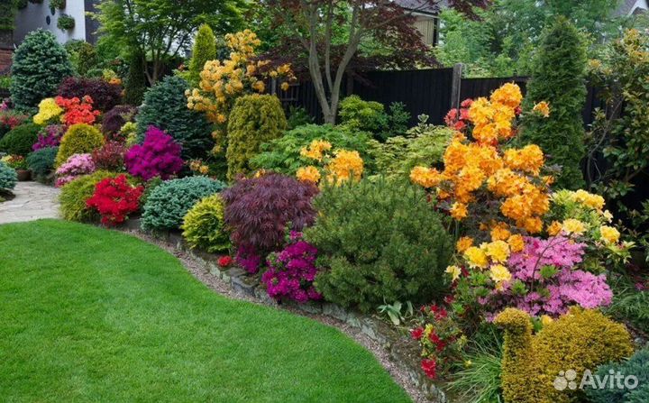 Обмен растениями