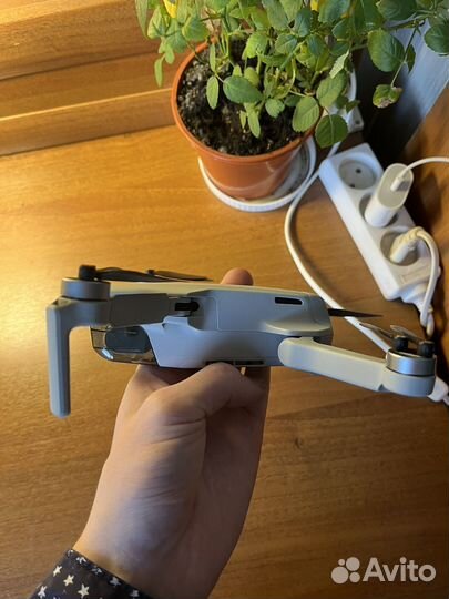 Квадрокоптер dji mini 2