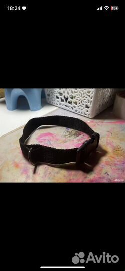 Амуниция для собак