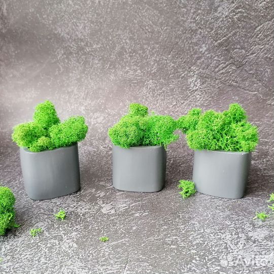 Кашпо из гипса