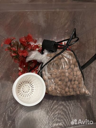 Флорариум аквариум