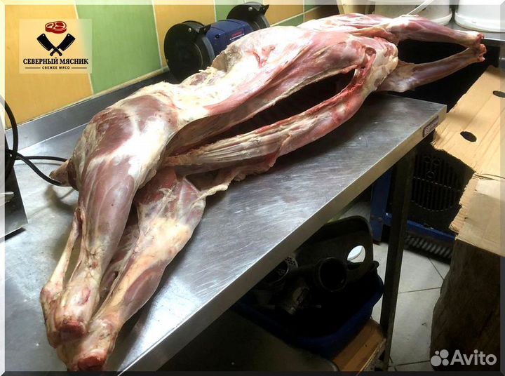 Мясо баранина тушка
