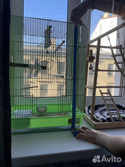 Клетка и стенд для средних попугаев