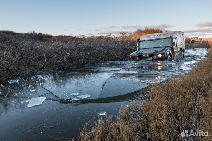 Фотография
