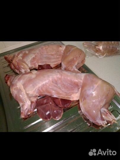 Мясо кролика