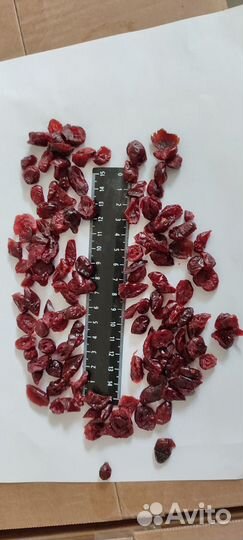 Клюква сушеная оптом