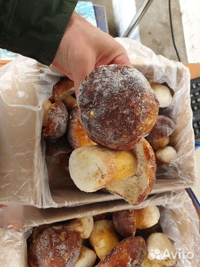 Белые грибы замороженные