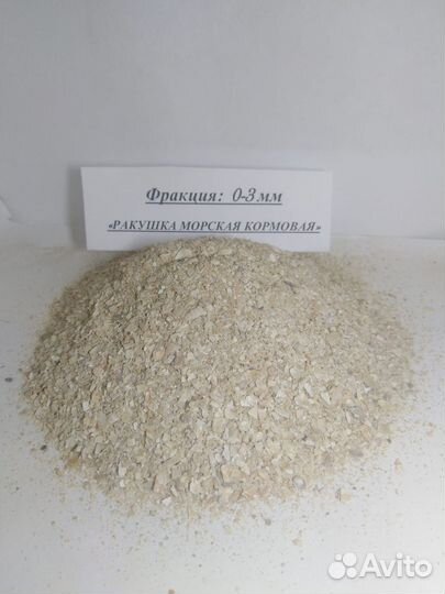 Ракушка морская кормовая