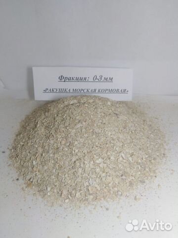 Ракушка морская кормовая