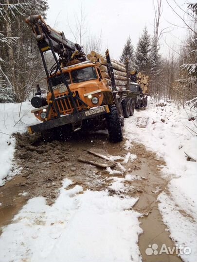 Аренда лесовоза вездехода