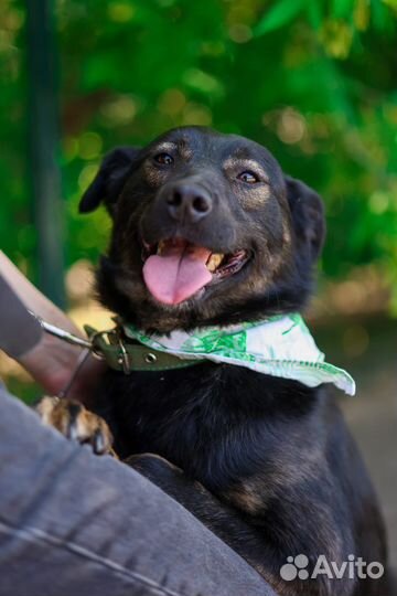 Вите надо выйти на остановке 