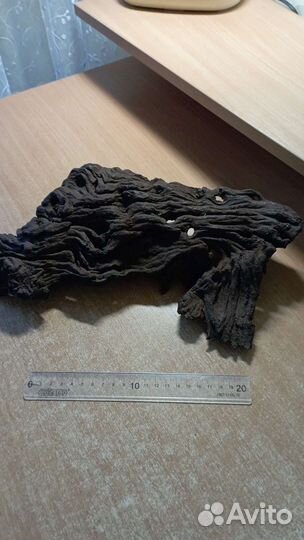 Коряга мангровая