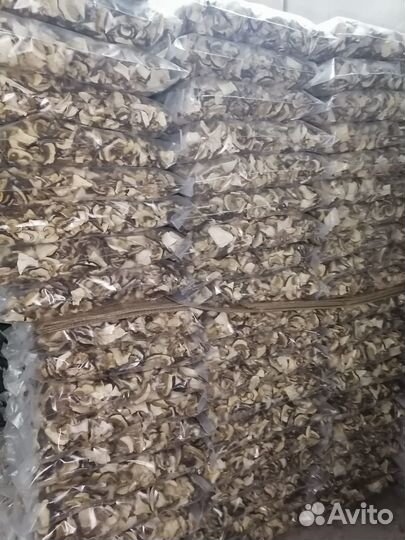 Гриб высушенный белый