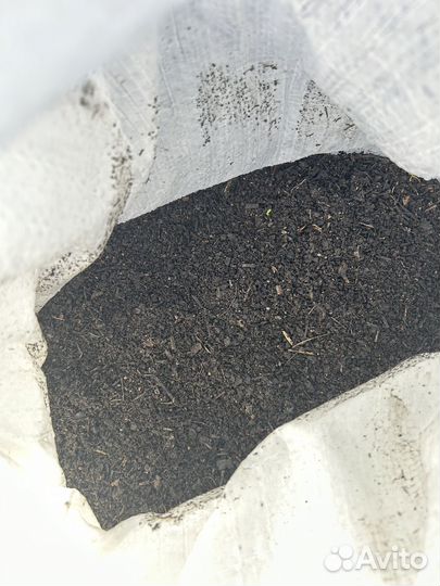 Перегной (биогумус)